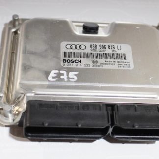 Audi A4/B6 Steuergerät 038906019LJ/0281011222